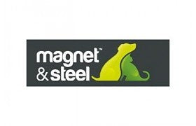 magnet-steel