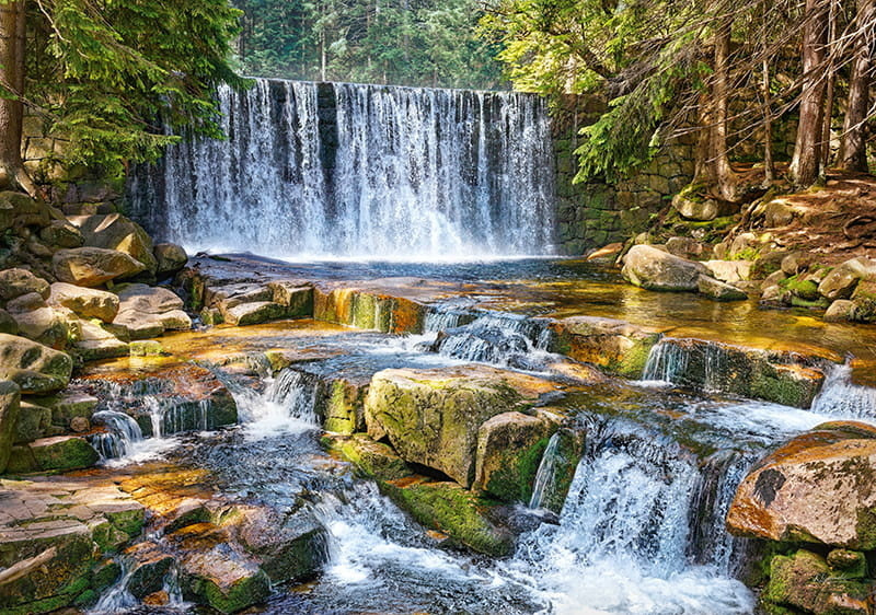 CherryPazzi Forest Cascade Puzzel 2000 Stukjes