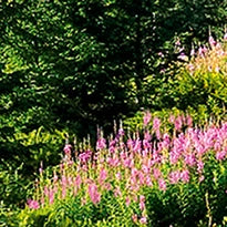 CherryPazzi Gasienicowa hall in Tatras Puzzel 1000 Stukjes