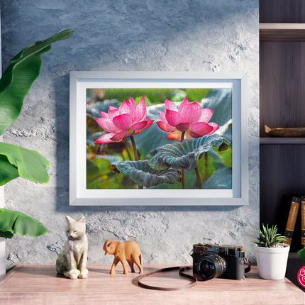 CherryPazzi Pink Lotus Flowers Puzzel 500 Stukjes