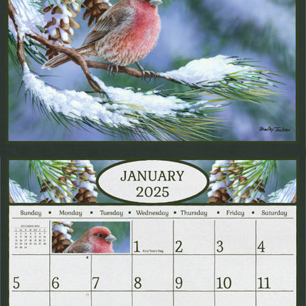 Delafield Beauty of Songbirds Kalender 2025