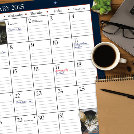 LANG American Cat Deskpad Kalender 2025