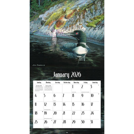 LANG Loons on the Lake Kalender 2026