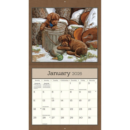 LANG Puppy Kalender 2026