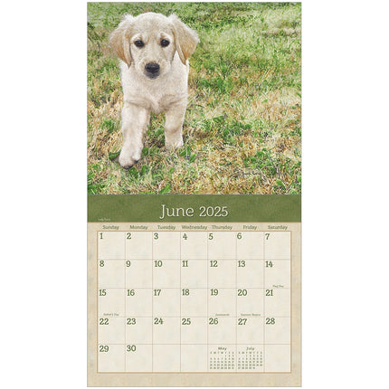 Legacy Puppies Kalender 2025