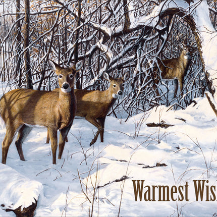 Legacy Wildlife Winter