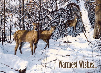 Legacy Wildlife Winter