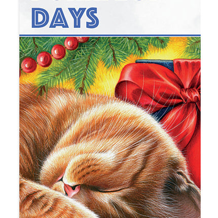 Pine Ridge Purrfect Days Kalender 2025 Small