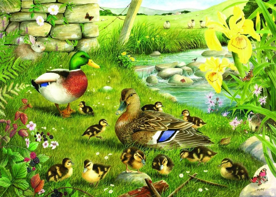 The House of Puzzles Ducks To Water Puzzel 500 Stukjes XL