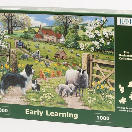 The House of Puzzles Early Learning Puzzel 1000 stukjes