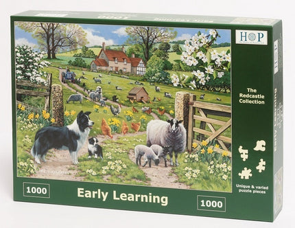 The House of Puzzles Early Learning Puzzel 1000 stukjes