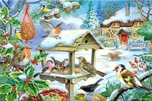 The House of Puzzles Feed The Birds Puzzel 250 Stukjes XL