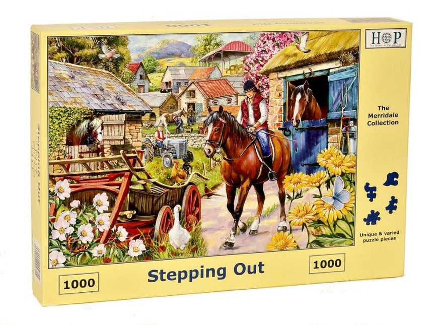 The House of Puzzles Stepping Out Puzzel 1000 stukjes