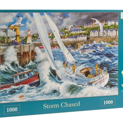 The House of Puzzles Storm Chased Puzzel 1000 Stukjes