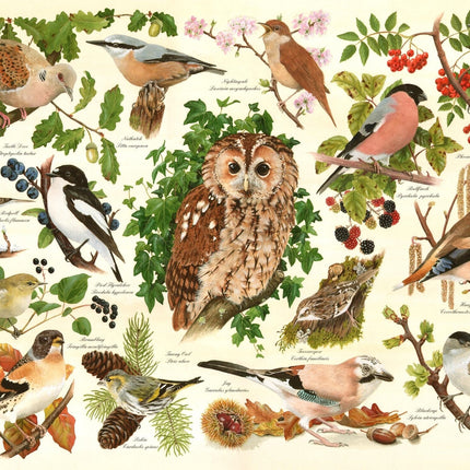 The House of Puzzles Woodland Birds Puzzel 500 XL stukjes