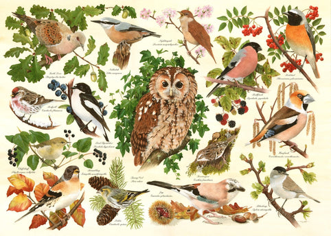 The House of Puzzles Woodland Birds Puzzel 500 XL stukjes