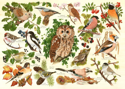 The House of Puzzles Woodland Birds Puzzel 500 XL stukjes