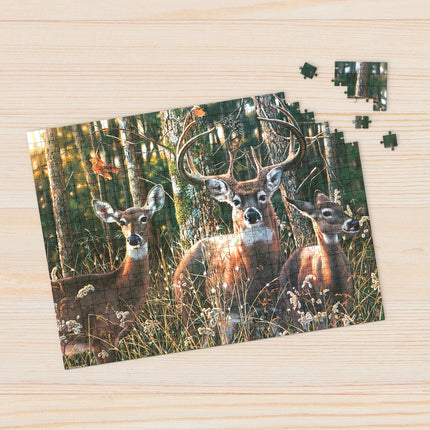 Willow Creek Woodland Shadows Puzzel 1000 stukjes